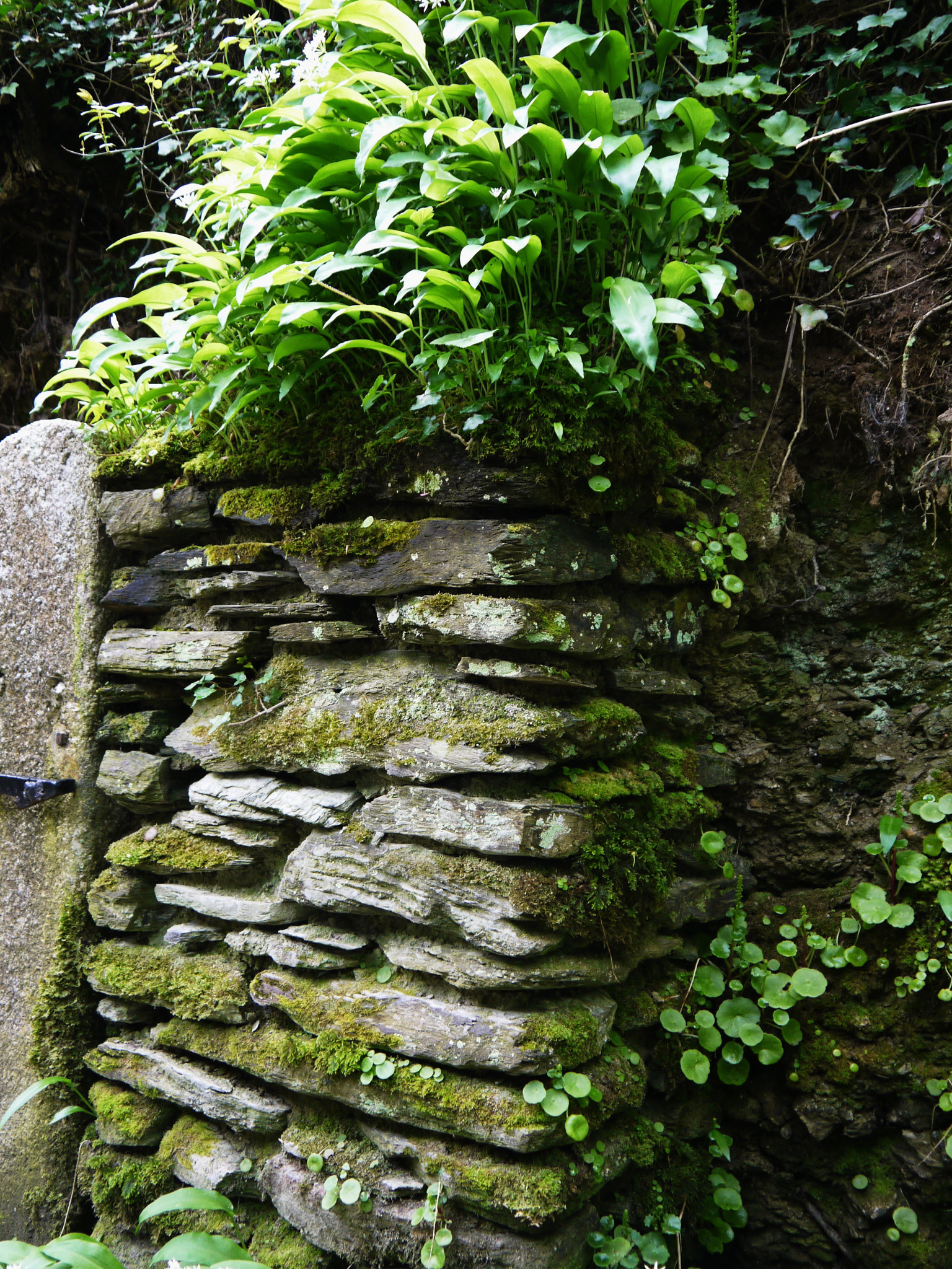 Panasonic Lumix DMC-GF3 + IO 14-42mm F3.5-5.6 sample photo. '... time is now and england' photography