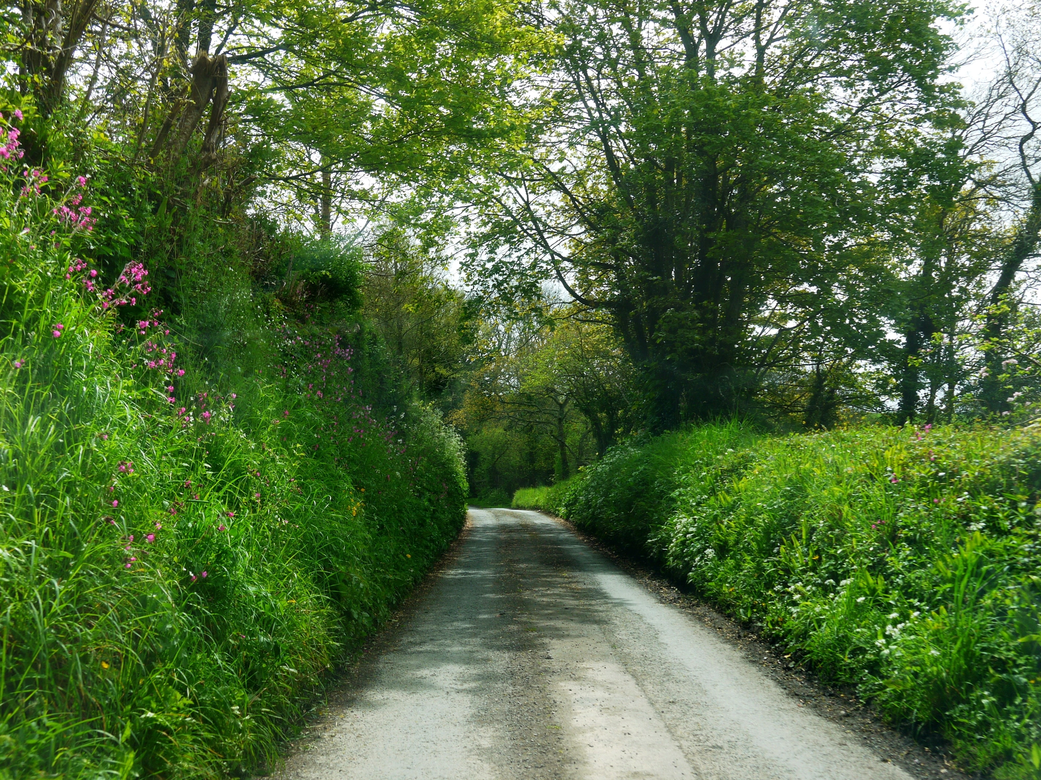 Panasonic Lumix DMC-GF3 sample photo. '... time is now and england' photography