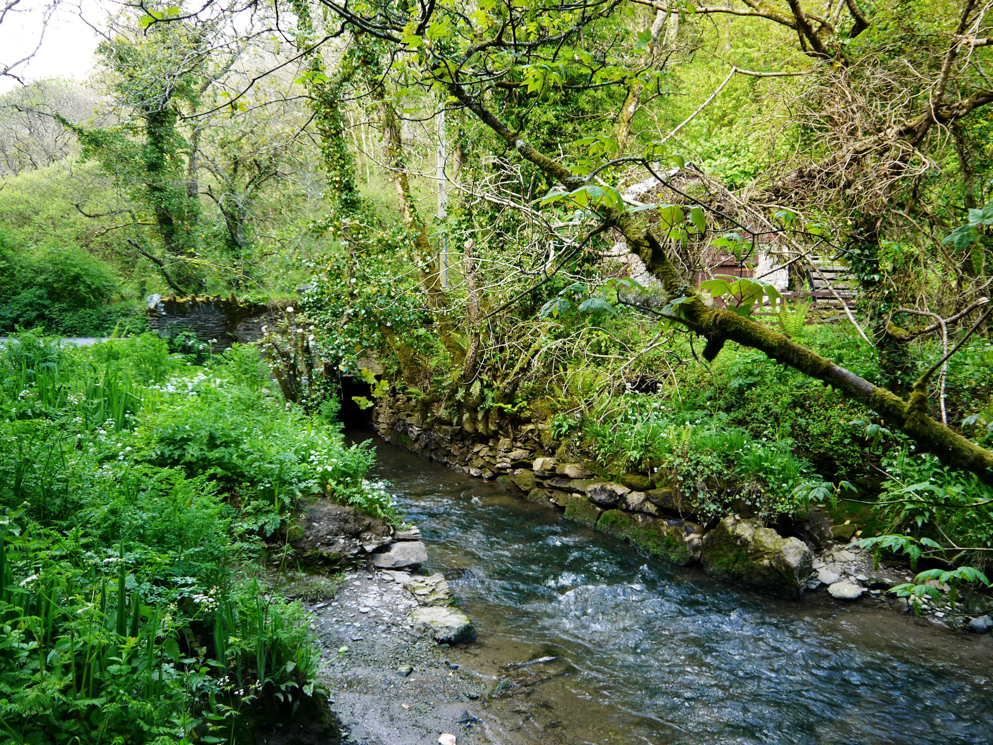 Panasonic Lumix DMC-GF3 sample photo. '... time is now and england' photography