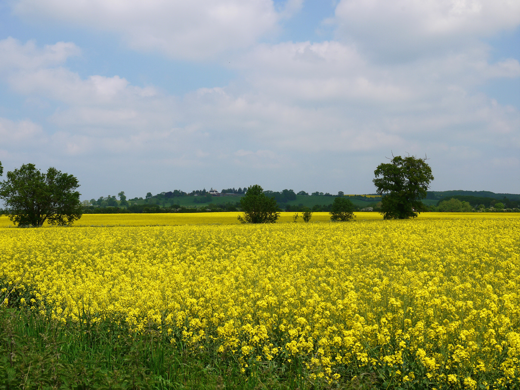 Panasonic Lumix DMC-GF3 sample photo. '... time is now and england' photography