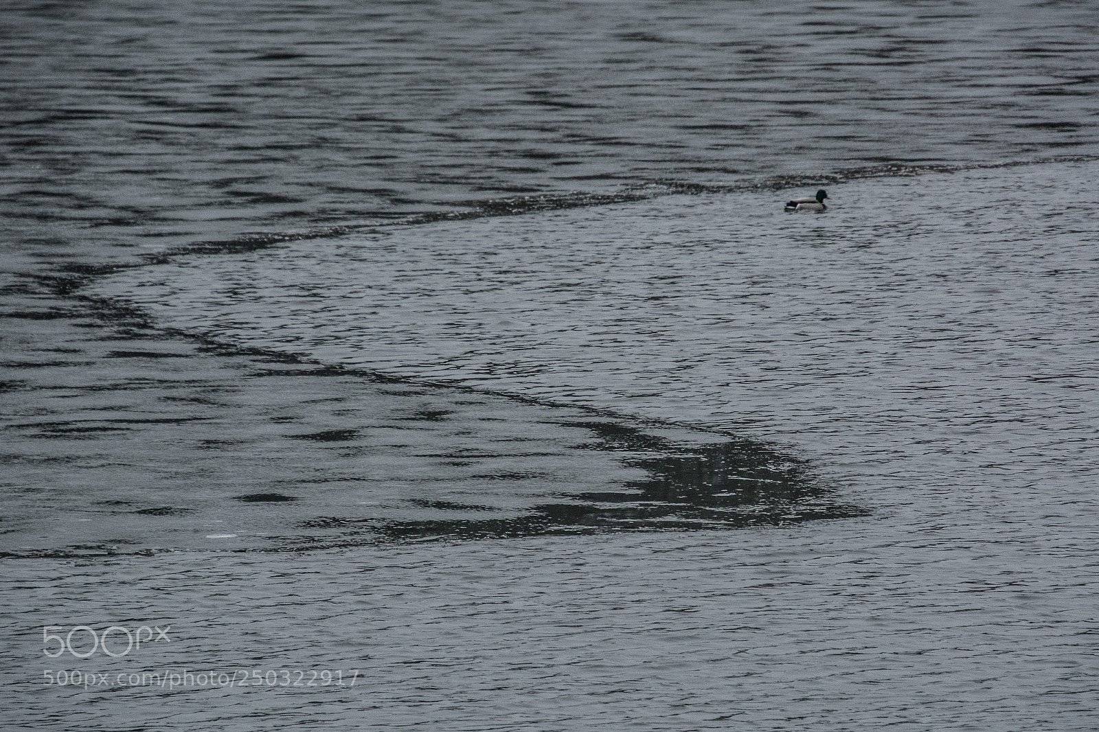 Nikon D7100 sample photo. Ice gulf 22.3.2018 photography