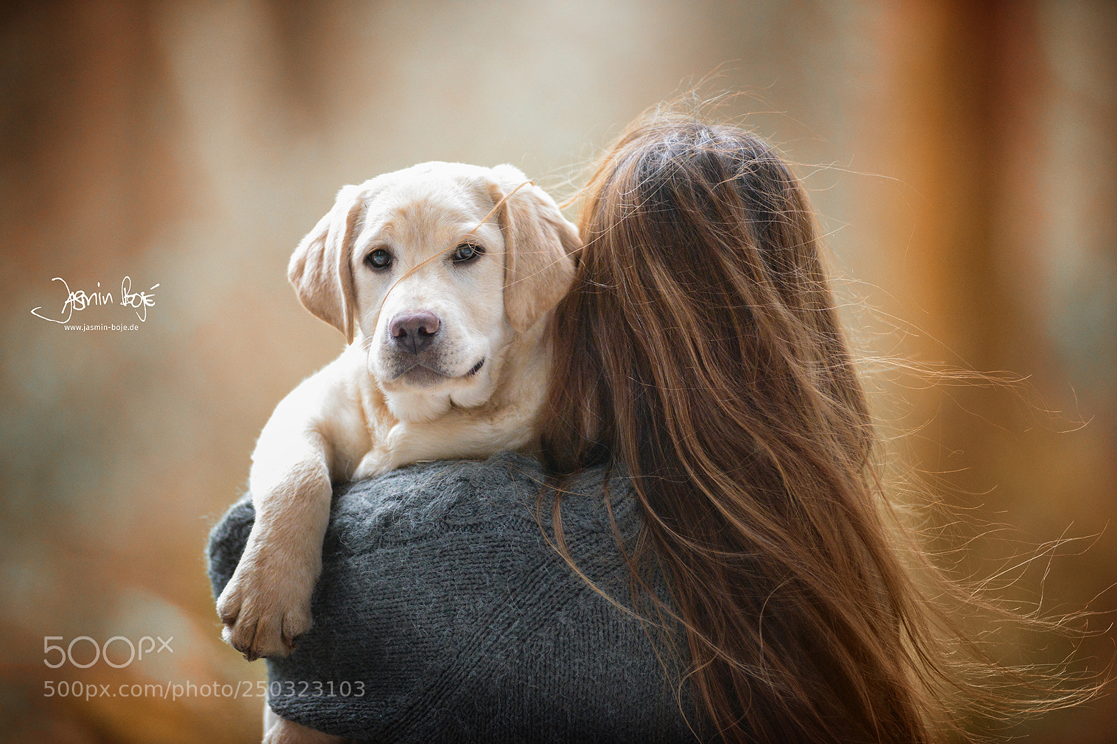 Nikon D800 sample photo. Little alba -our girl photography
