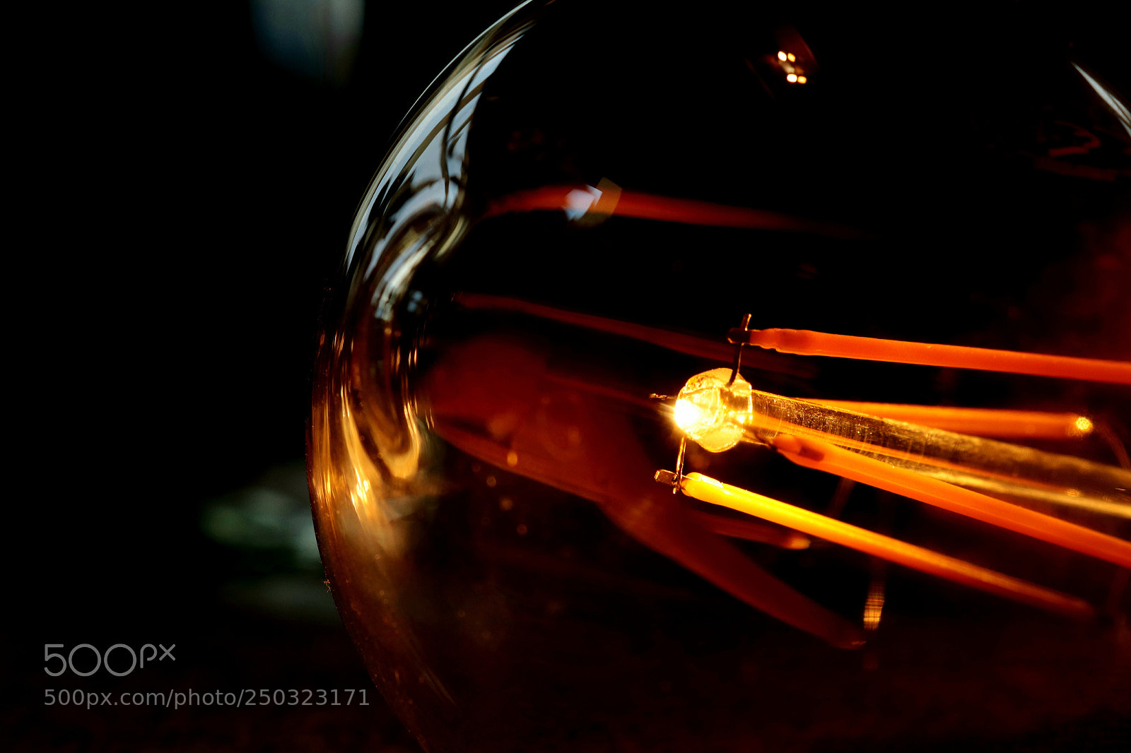 Canon EOS 80D sample photo. Untitled photography