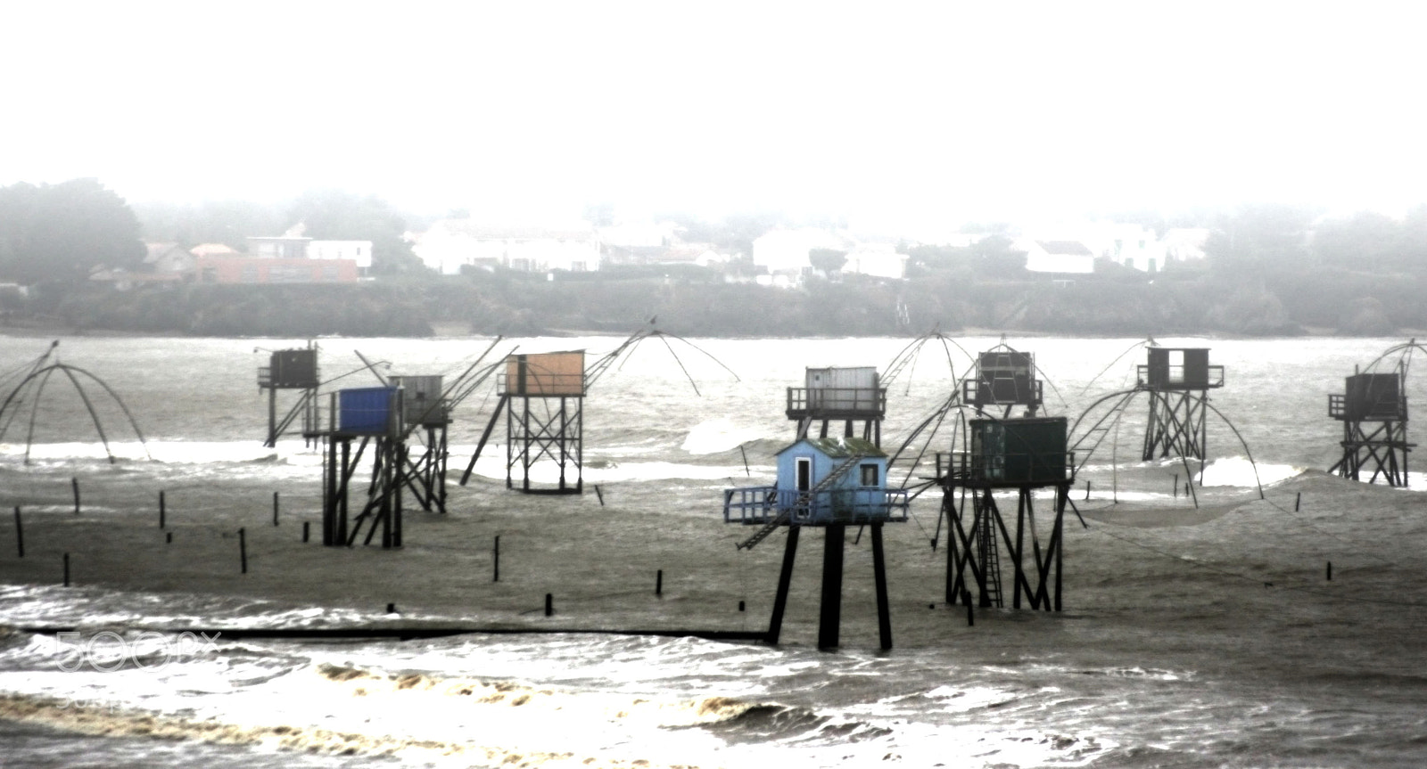 Canon EOS 20D sample photo. W photography