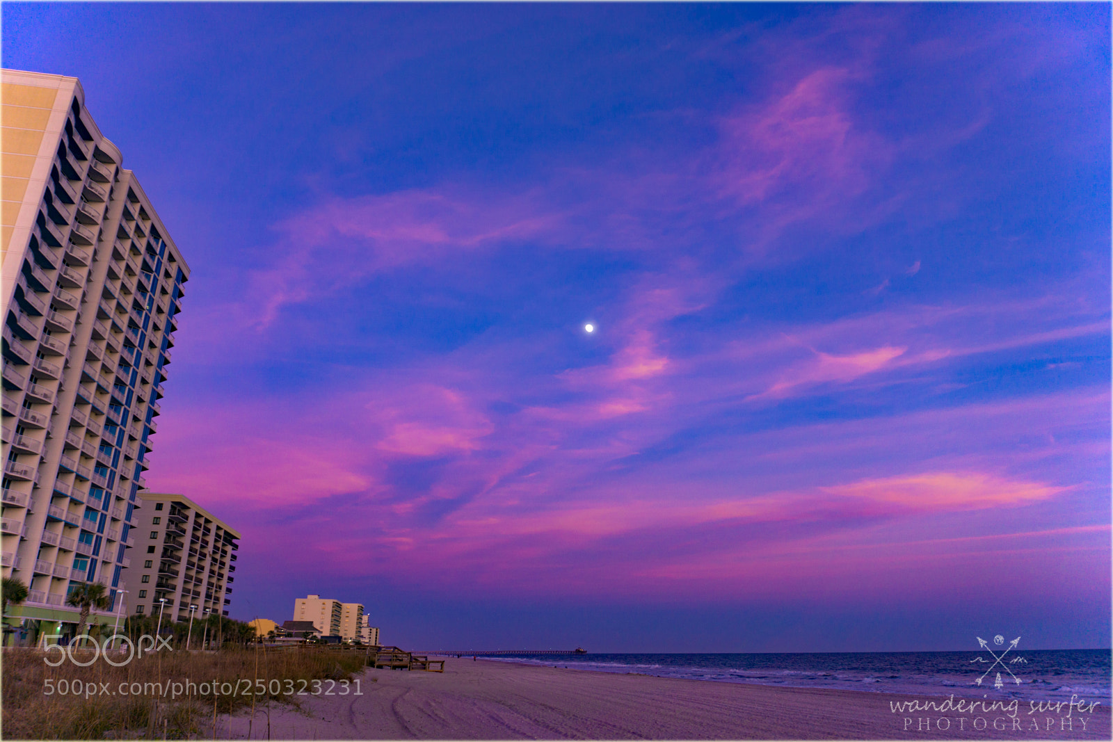 Sony a6000 sample photo. 299.jpg photography
