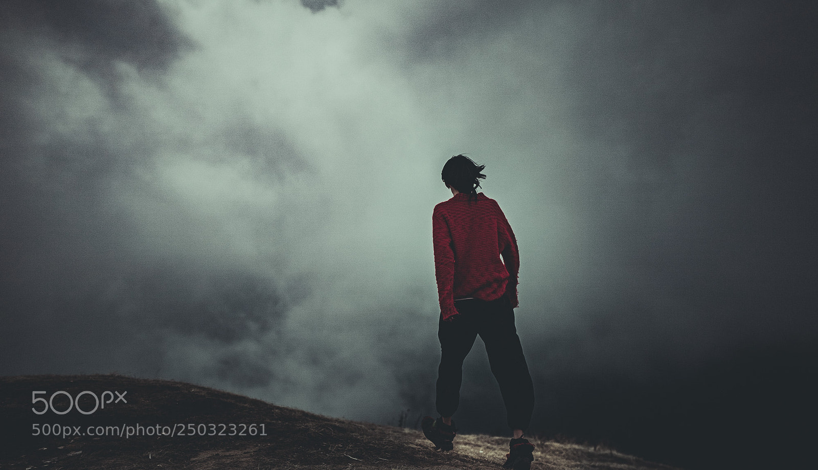 Canon EOS 5D Mark II sample photo. Into the clouds photography