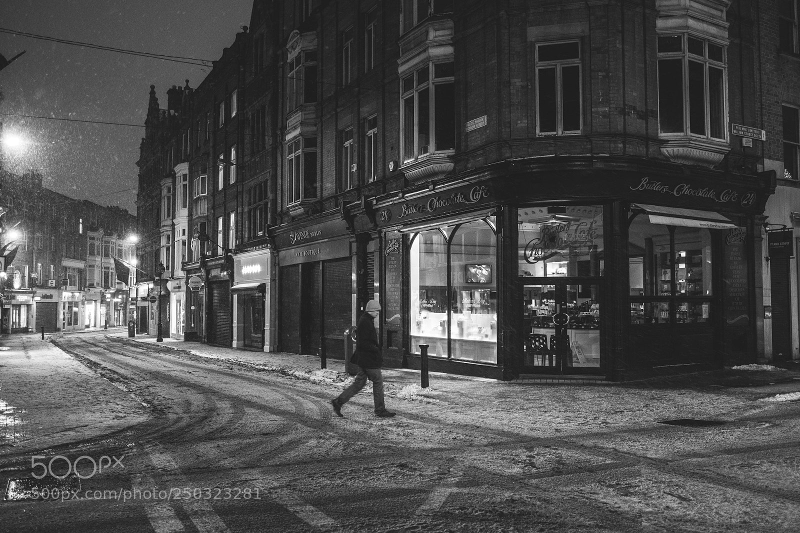 Nikon D500 sample photo. Braving the snow photography