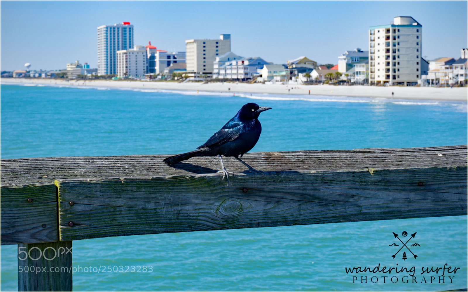 Sony a6000 sample photo. 328.jpg photography