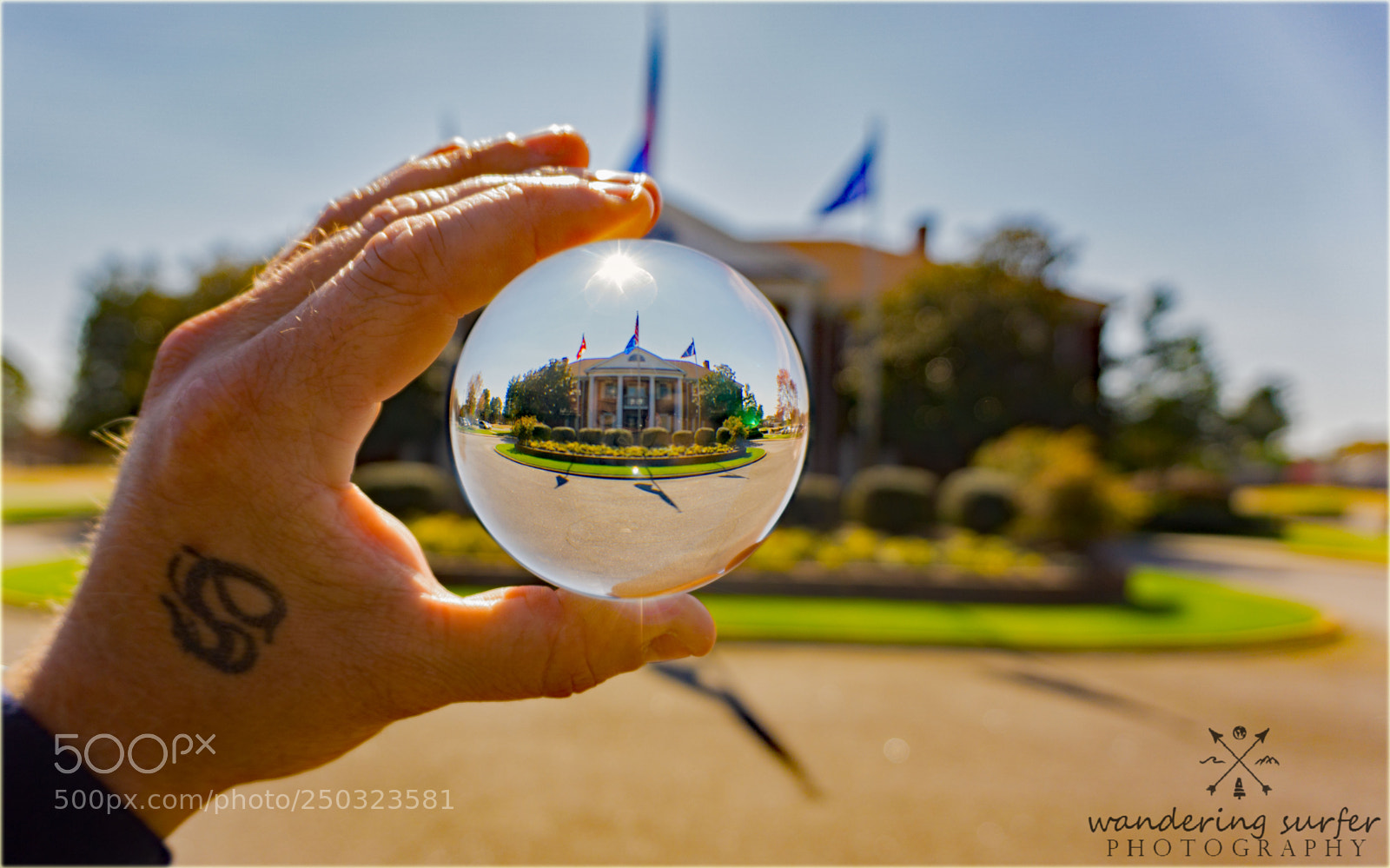 Sony a6000 sample photo. 387.jpg photography