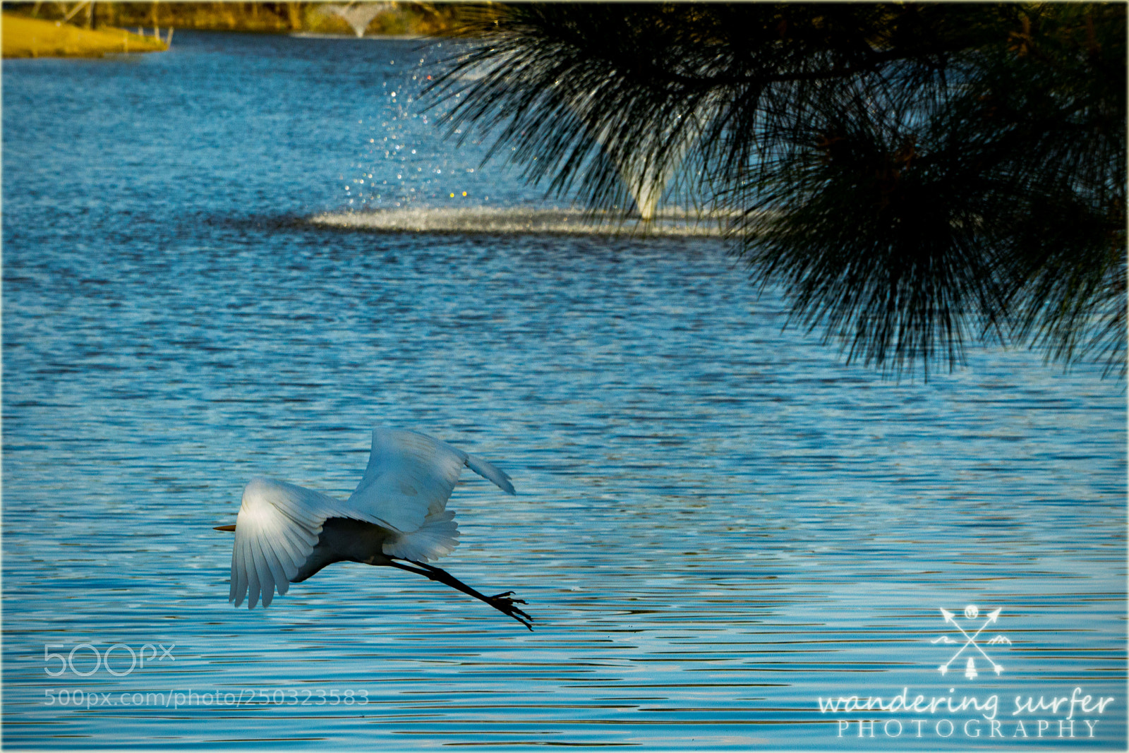 Sony a6000 sample photo. 396.jpg photography