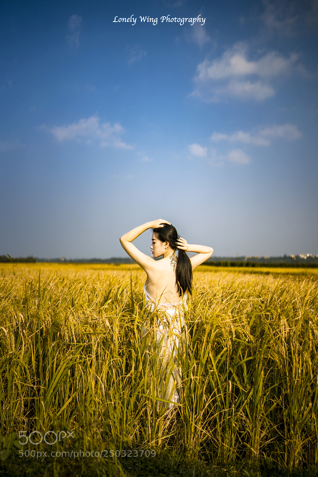 Sony a7R II sample photo. Untitled photography