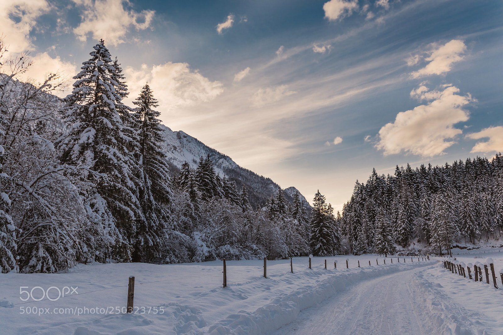 Canon EOS 5D Mark IV sample photo. Winter fairytale photography