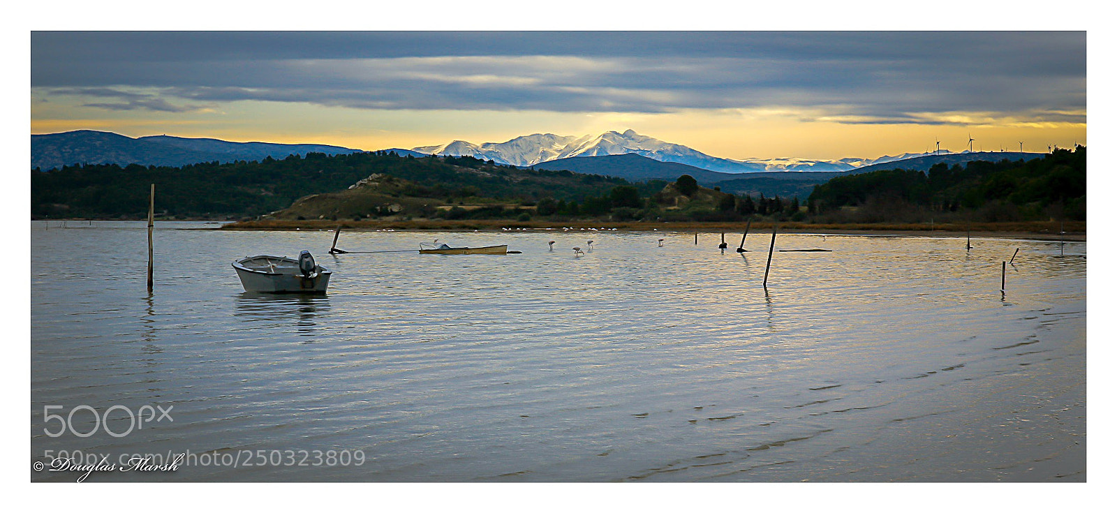 Canon EOS 5D sample photo. Untitled photography