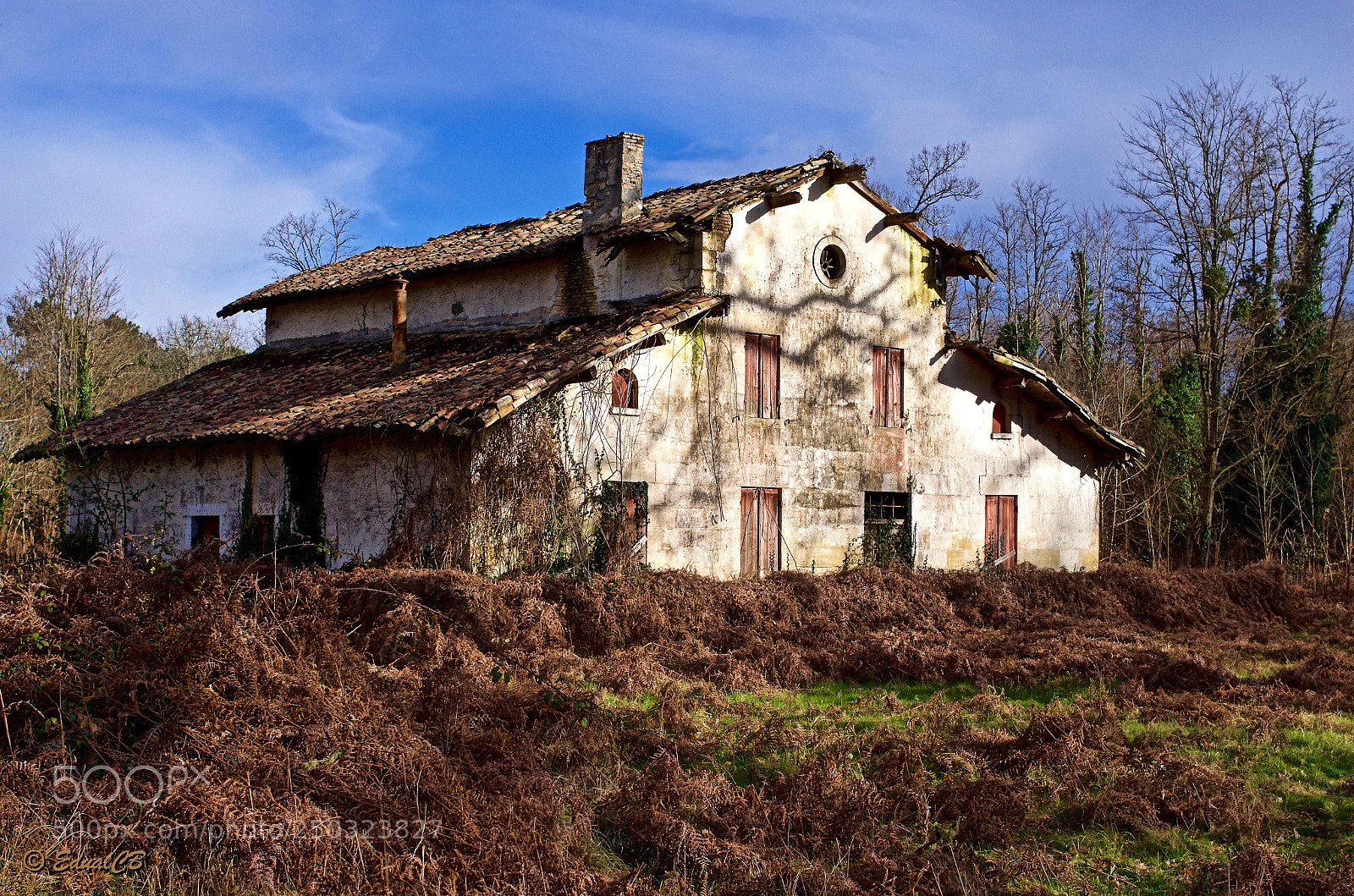 Pentax K-5 sample photo. Abandoned house in the photography
