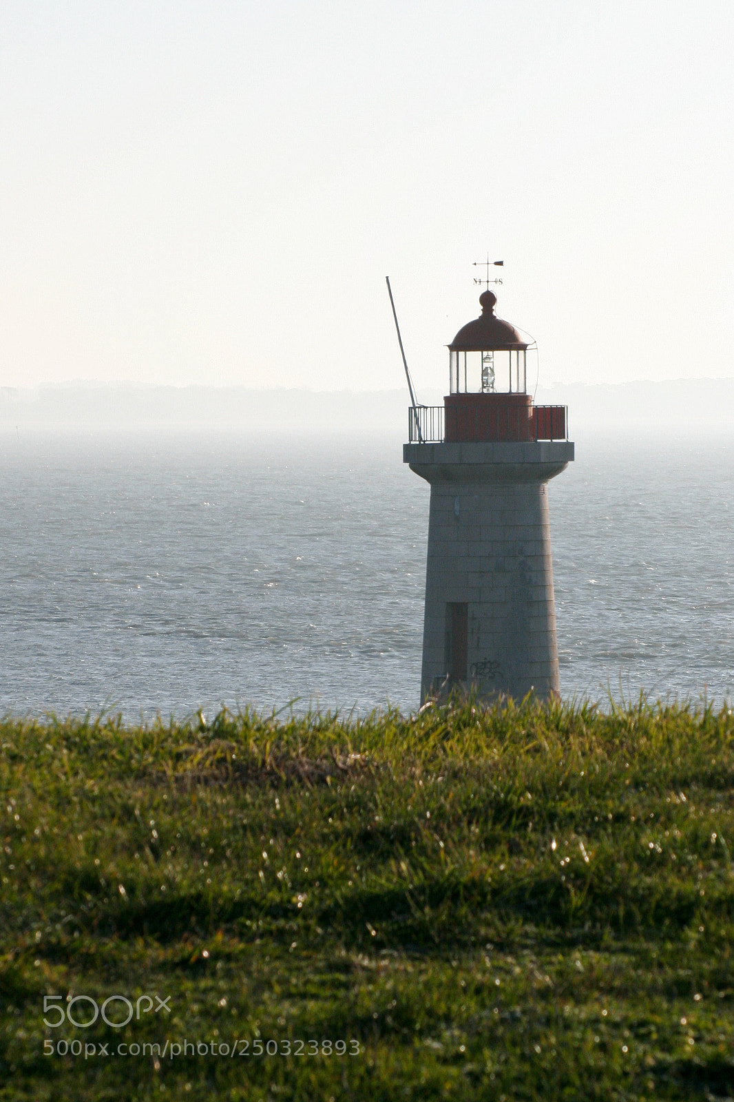 Canon EOS 20D sample photo. Hms photography