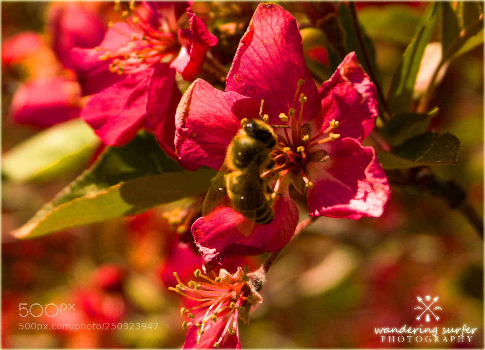 Sony a6000 sample photo. 3162.jpg photography