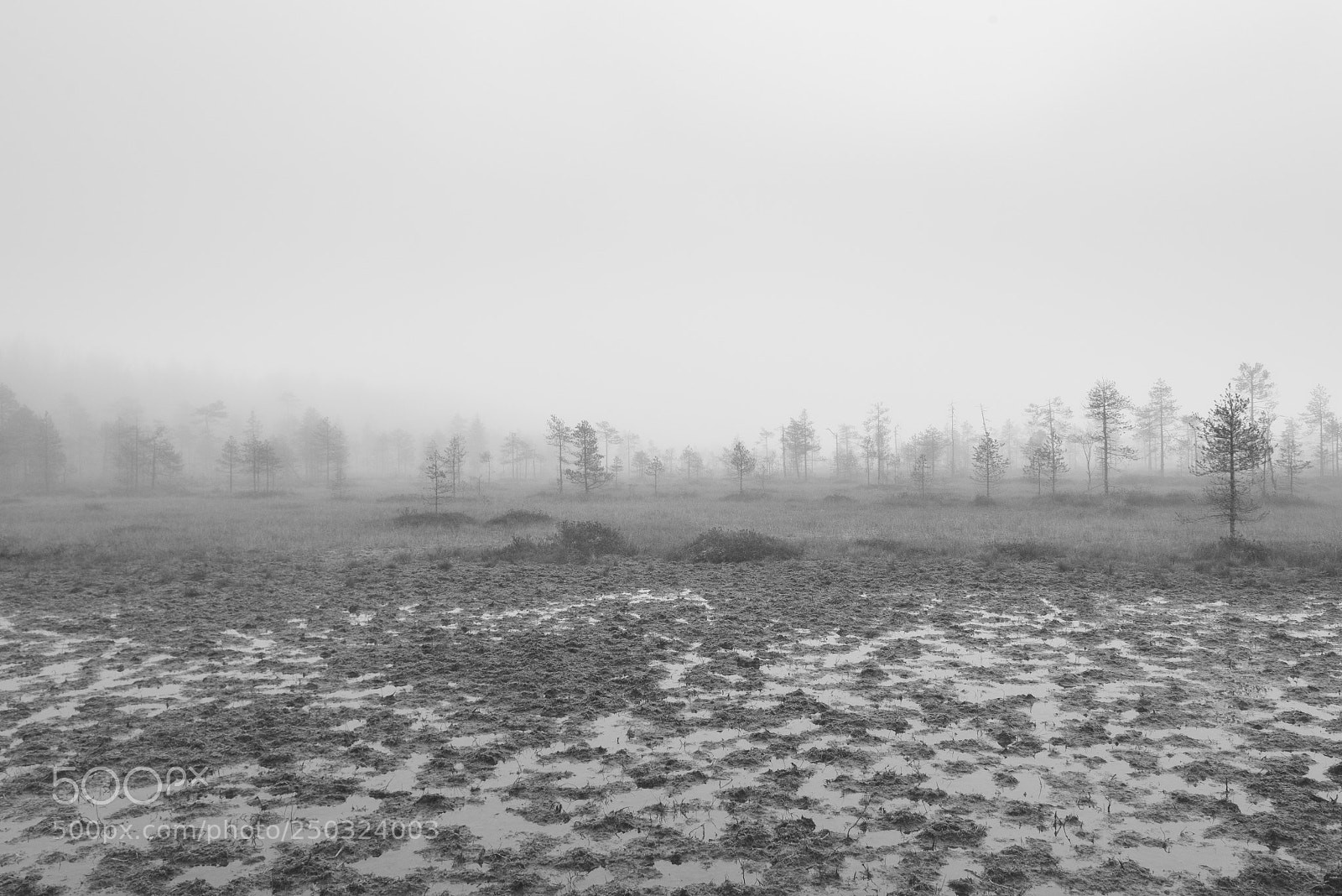 Nikon D810 sample photo. Untitled photography