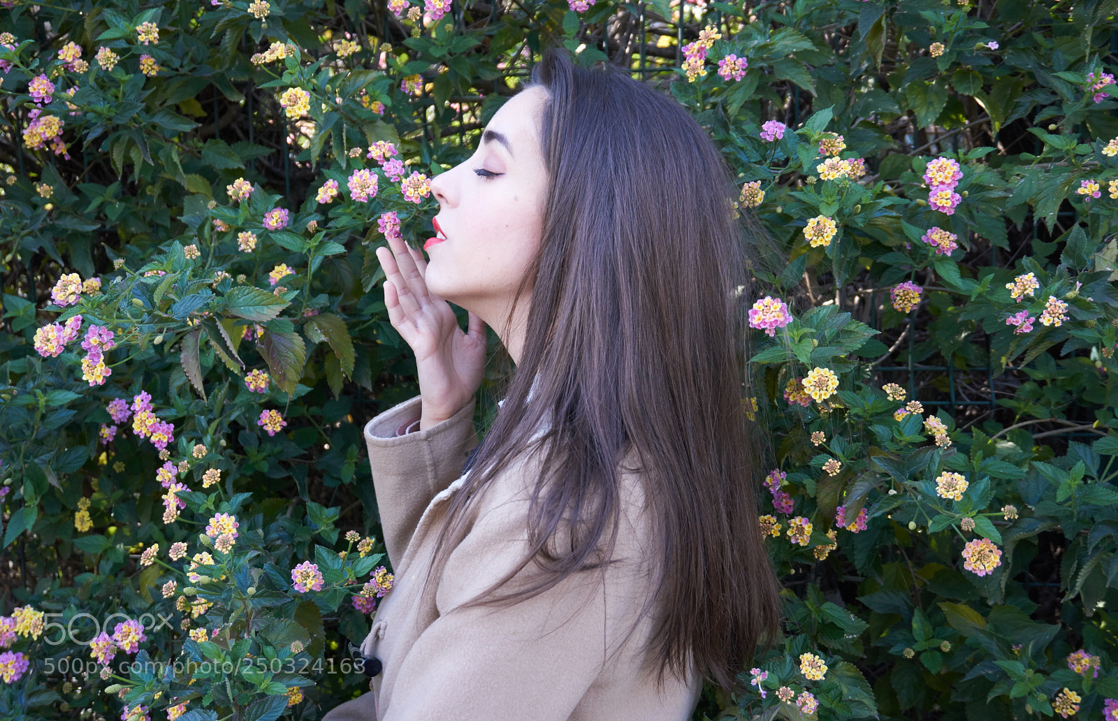Sony a6000 sample photo. Ale photography