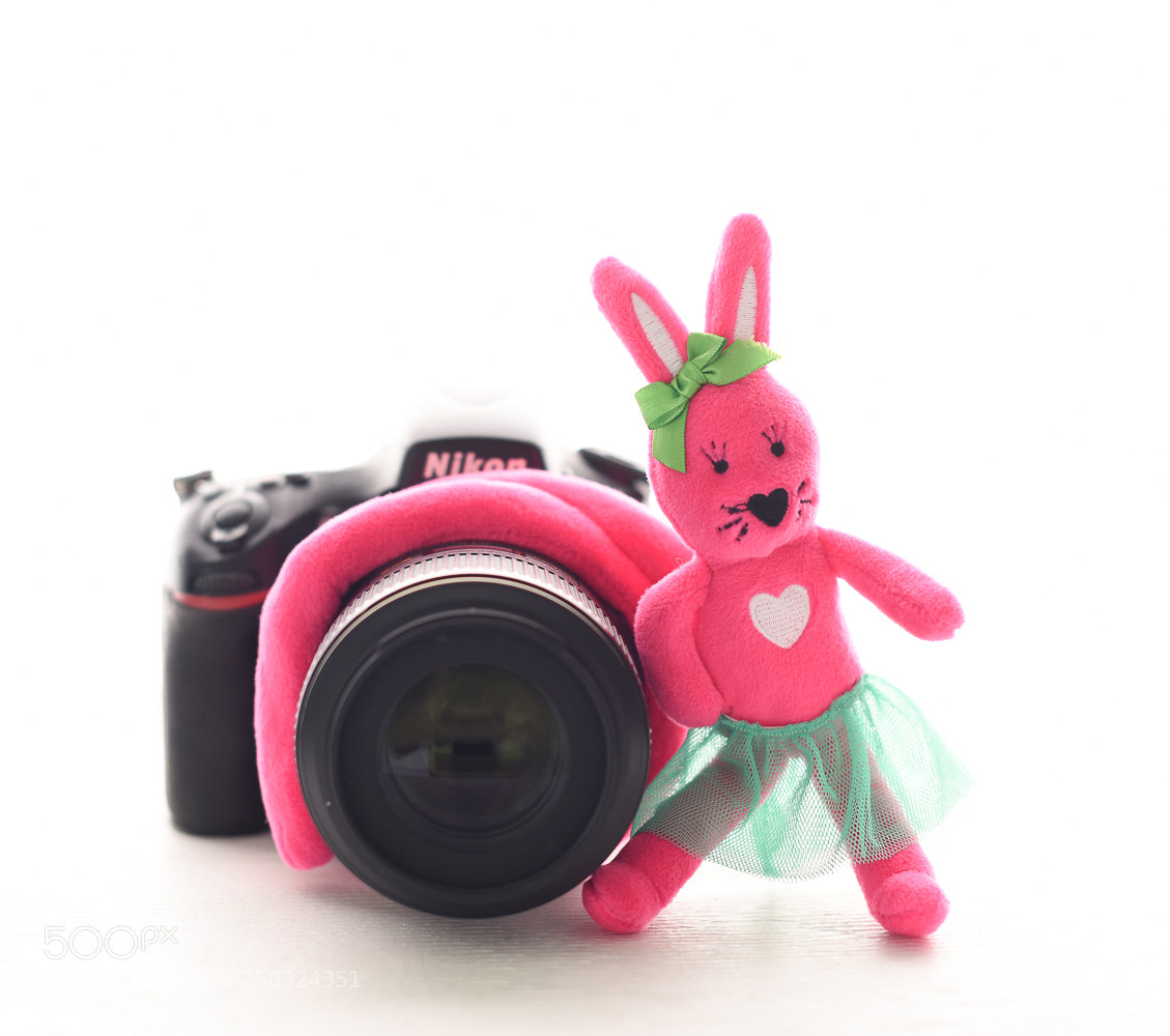Nikon D810 sample photo. Bunny phoxi friend photography