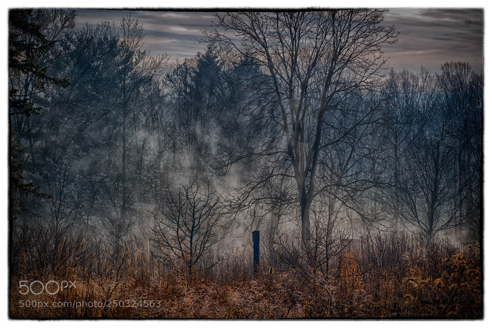 Canon EOS 100D (EOS Rebel SL1 / EOS Kiss X7) sample photo. Early morning mist photography