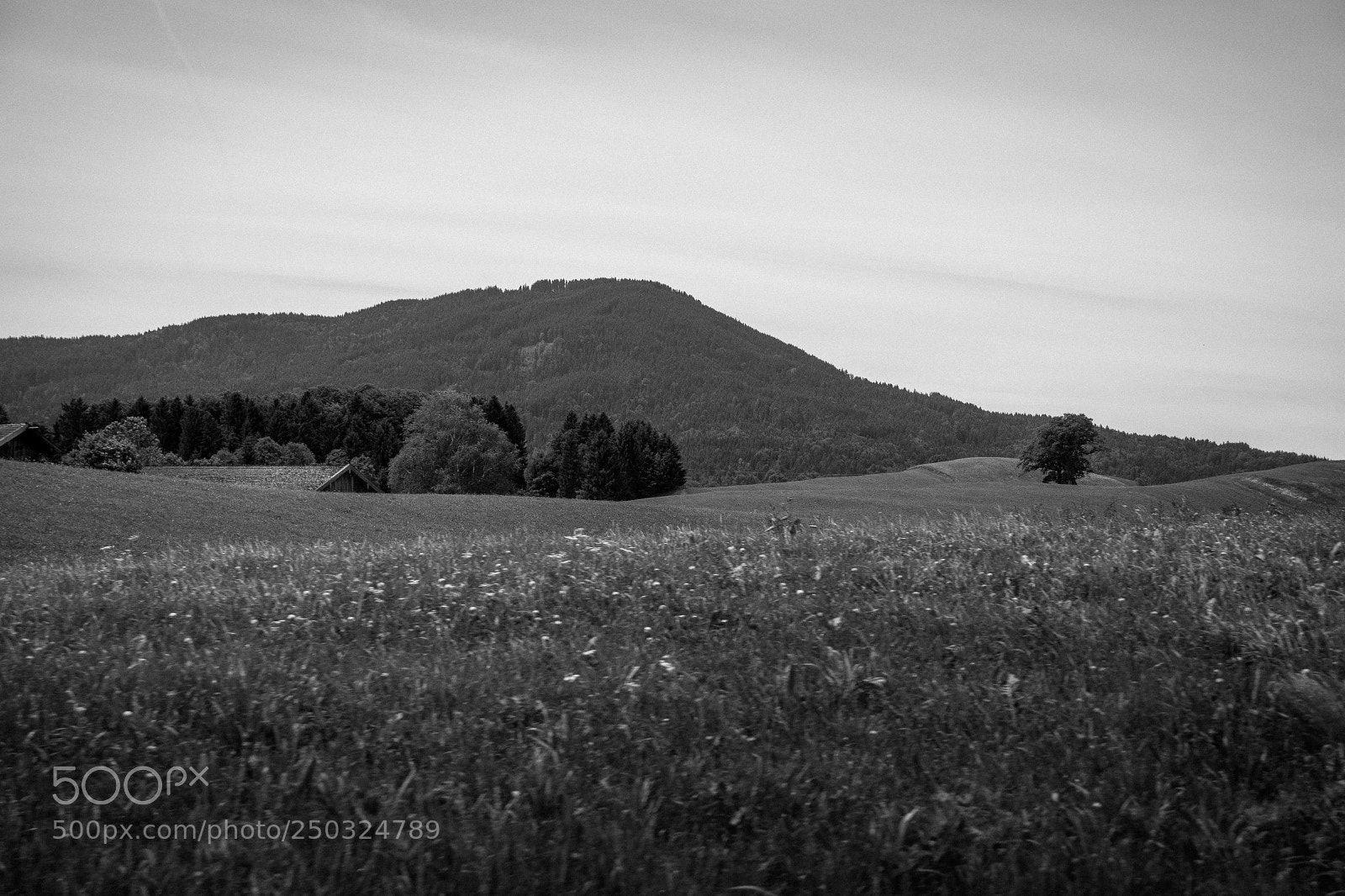Samsung NX300 sample photo. Random bavarian landscapes photography