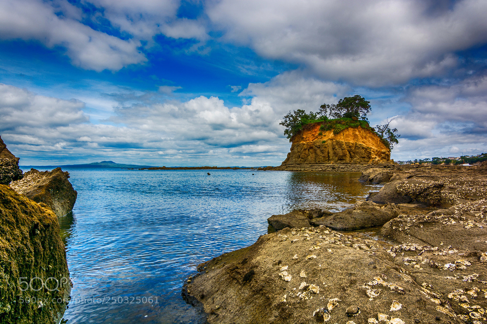 Nikon D7100 sample photo. The thor torbay (waiake) photography