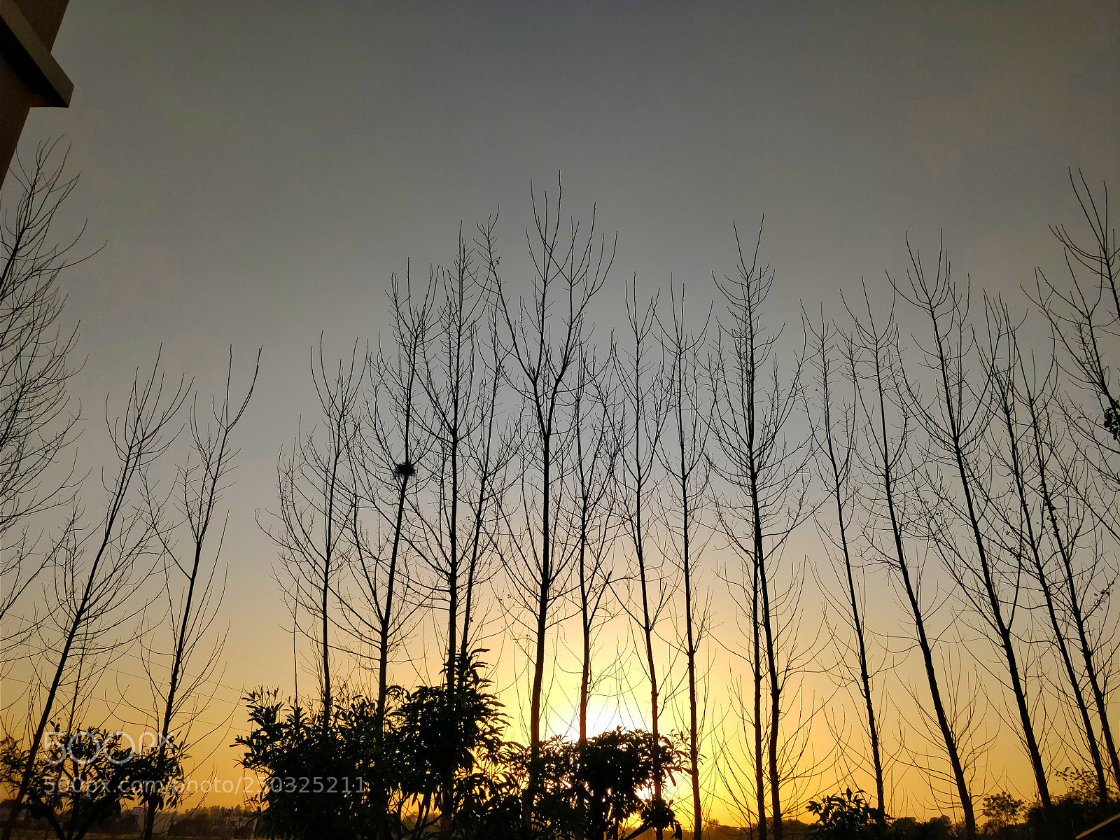OnePlus 5 sample photo. Waiting for spring photography