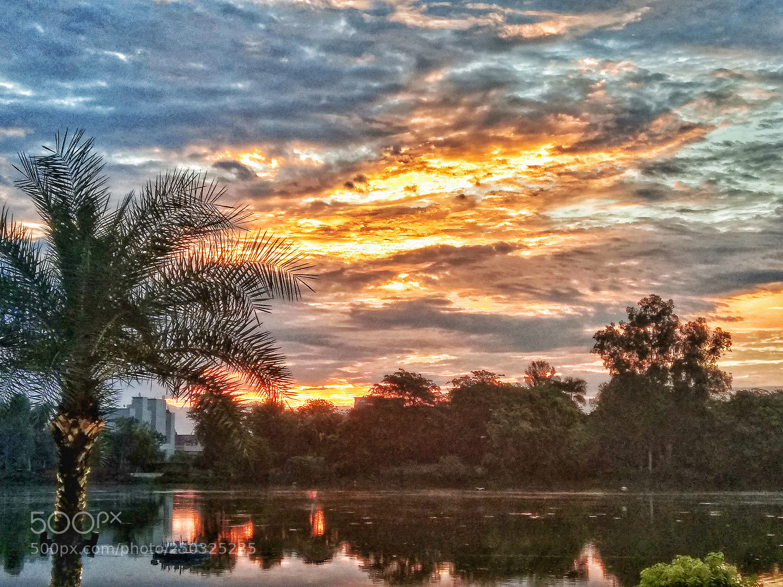 Xiaomi Redmi Note 4 sample photo. Free soul traveler photography