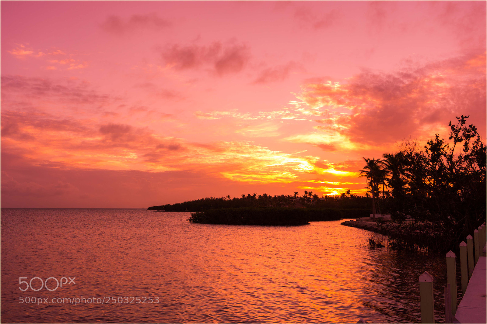Sony a6000 sample photo. Floridasunset photography