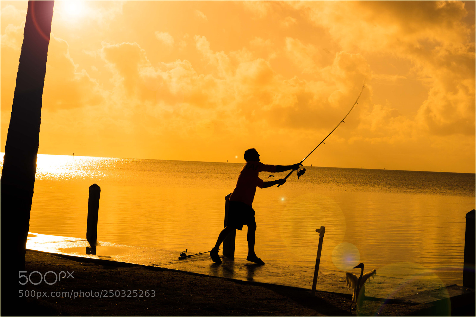 Sony a6000 sample photo. Goldenangler photography