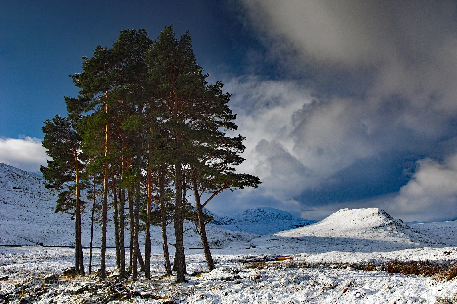 Nikon D2X sample photo. Togetherness, loch droma, scottish photography