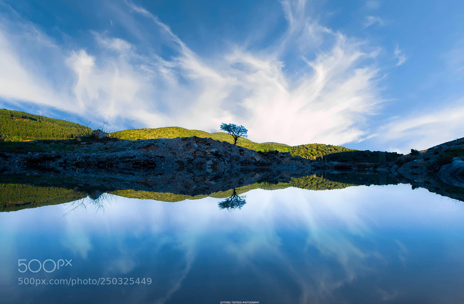 Nikon D7200 sample photo. Tree reflection photography