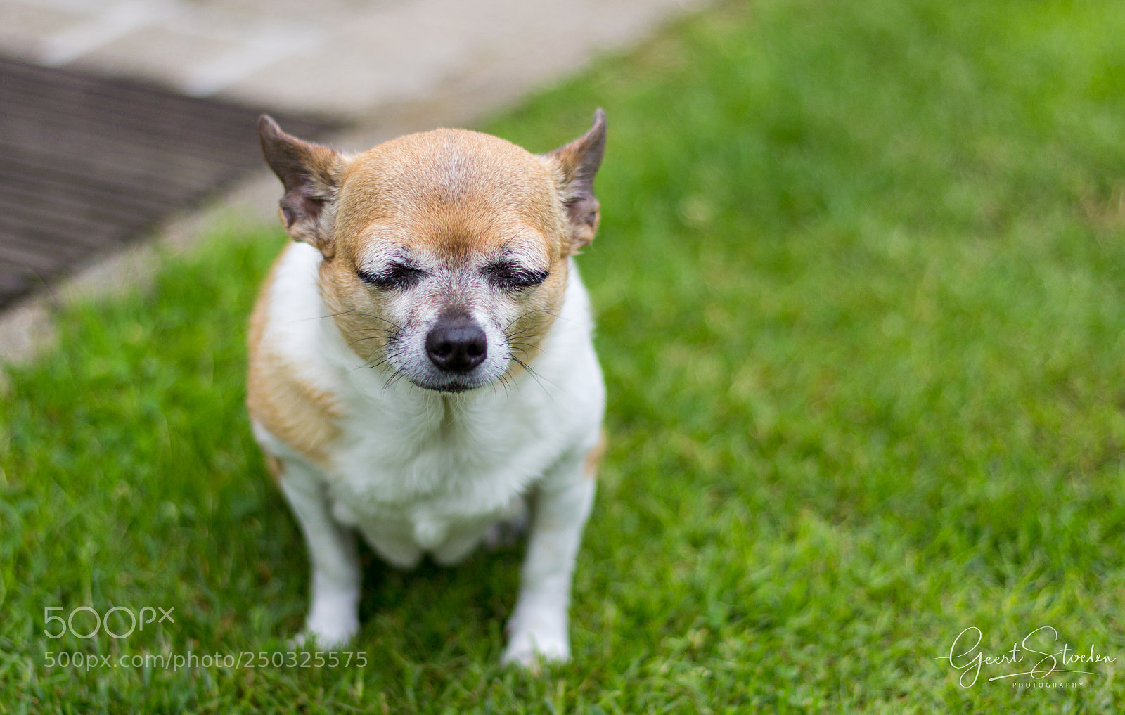 Canon EOS 60D sample photo. Meditating in the garden photography
