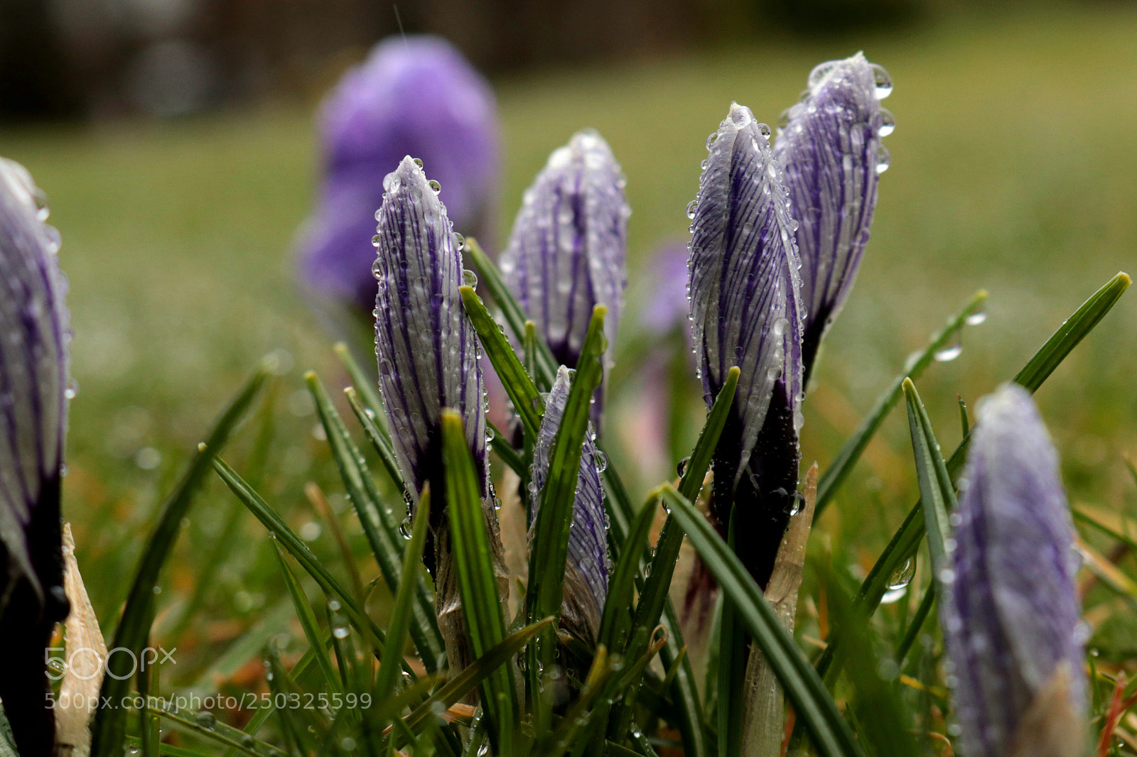 Canon EOS 80D sample photo. Untitled photography