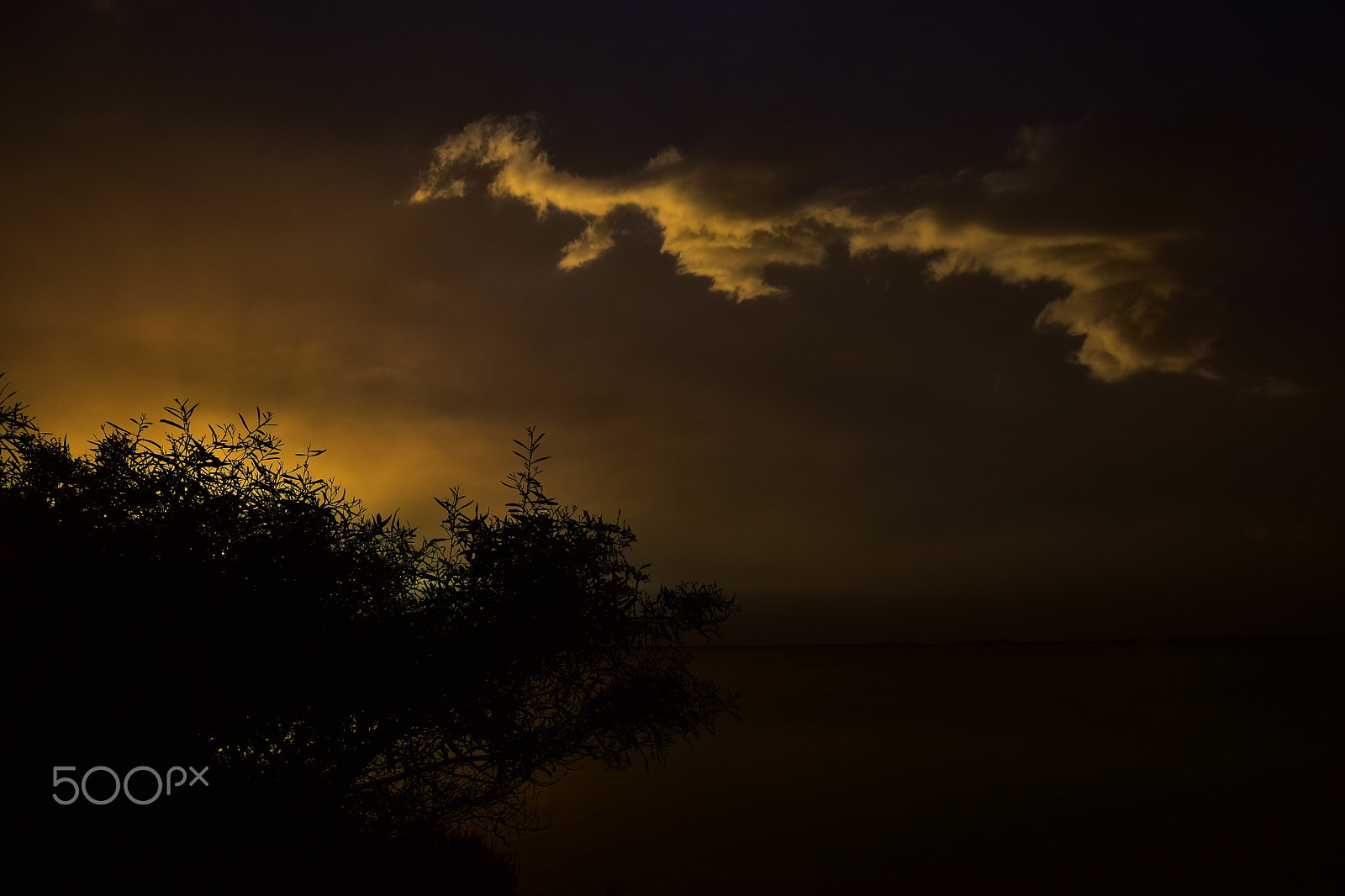 Nikon D7200 sample photo. L83 photography