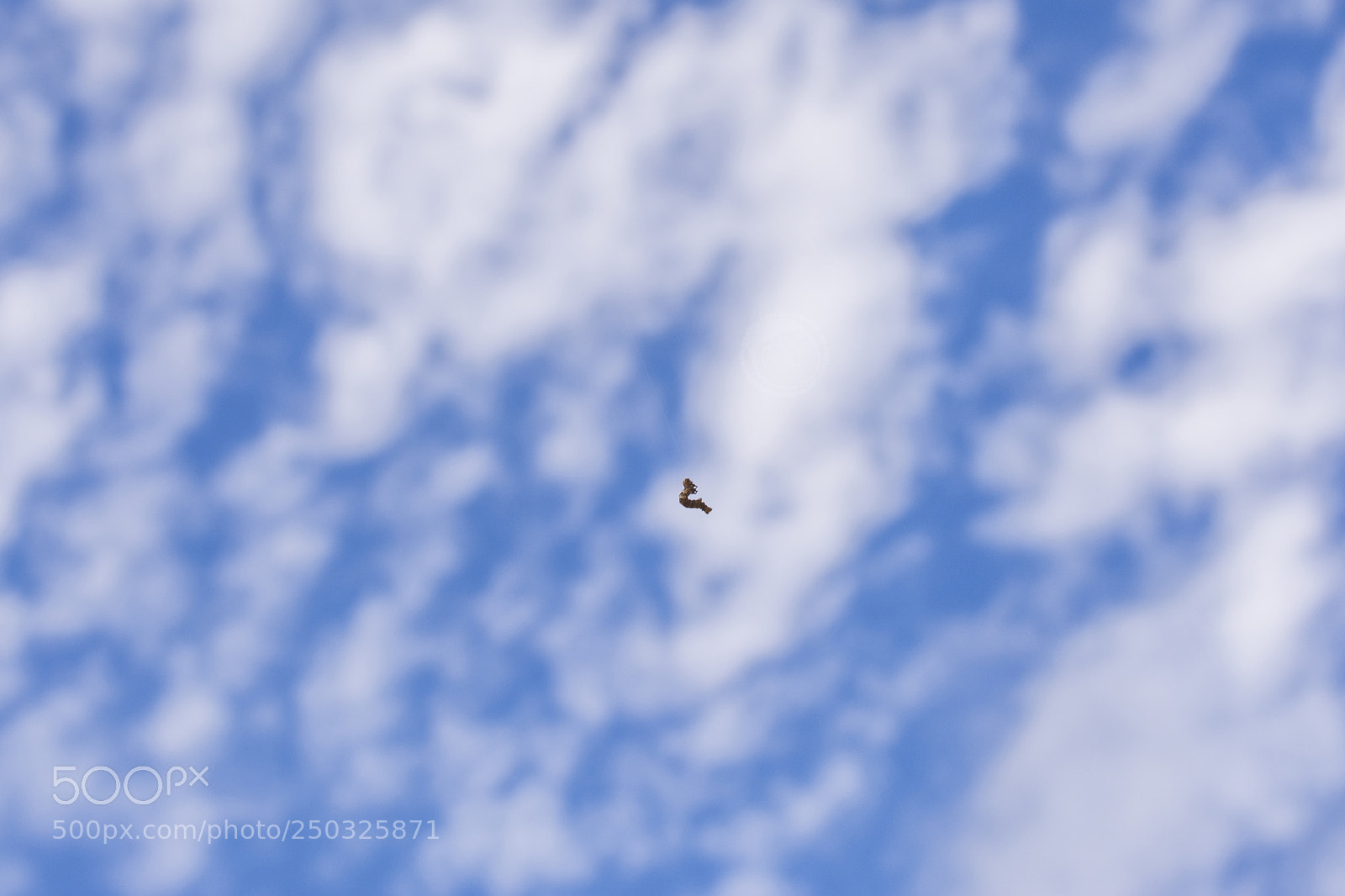 Nikon D7100 sample photo. Float photography