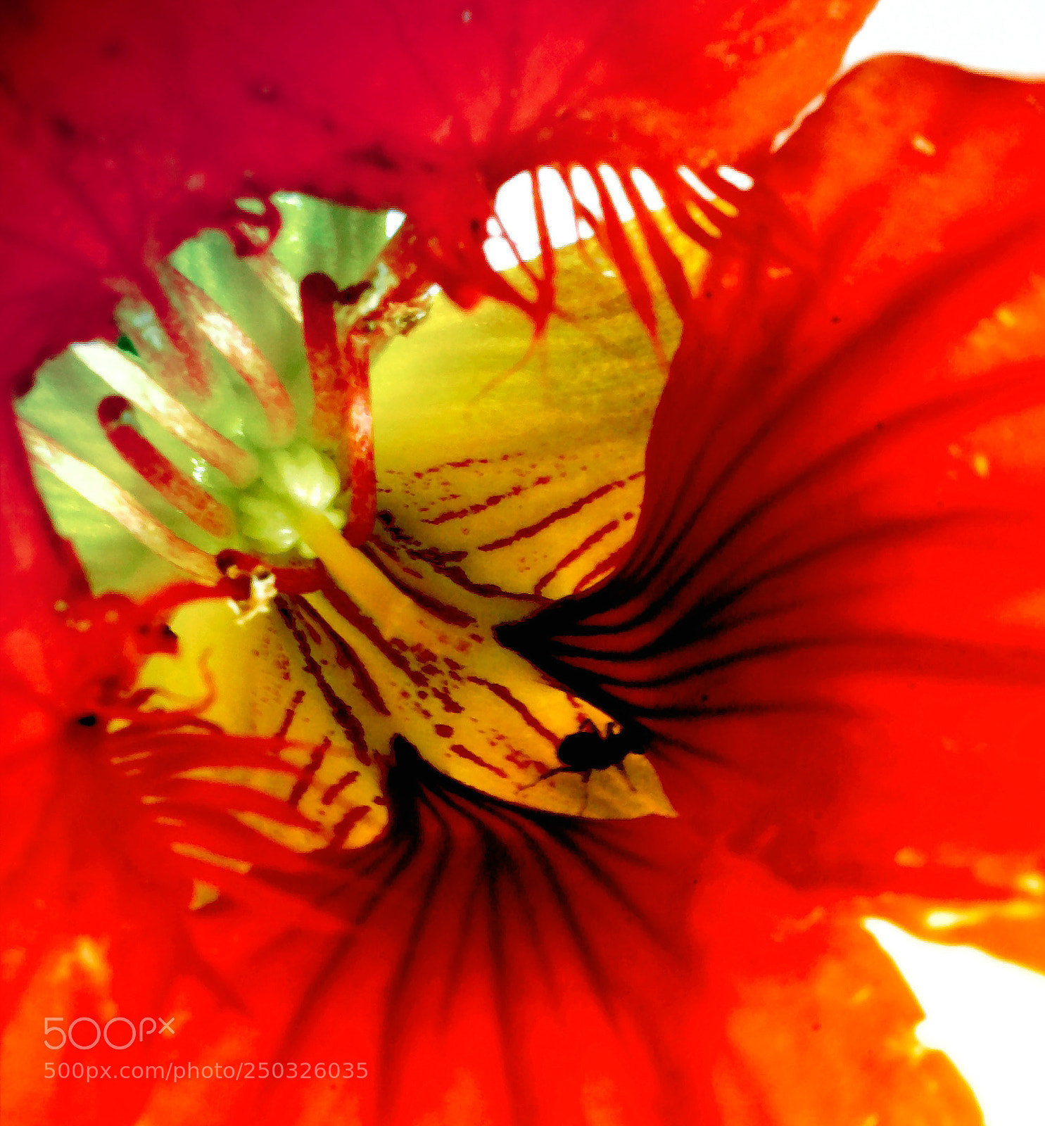 Canon EOS 20D sample photo. Hms photography
