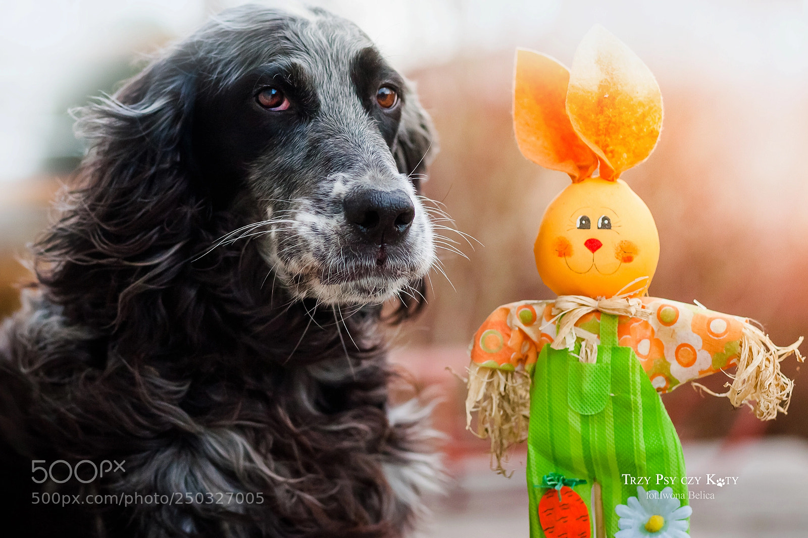 Canon EOS 5D sample photo. Spring is coming photography
