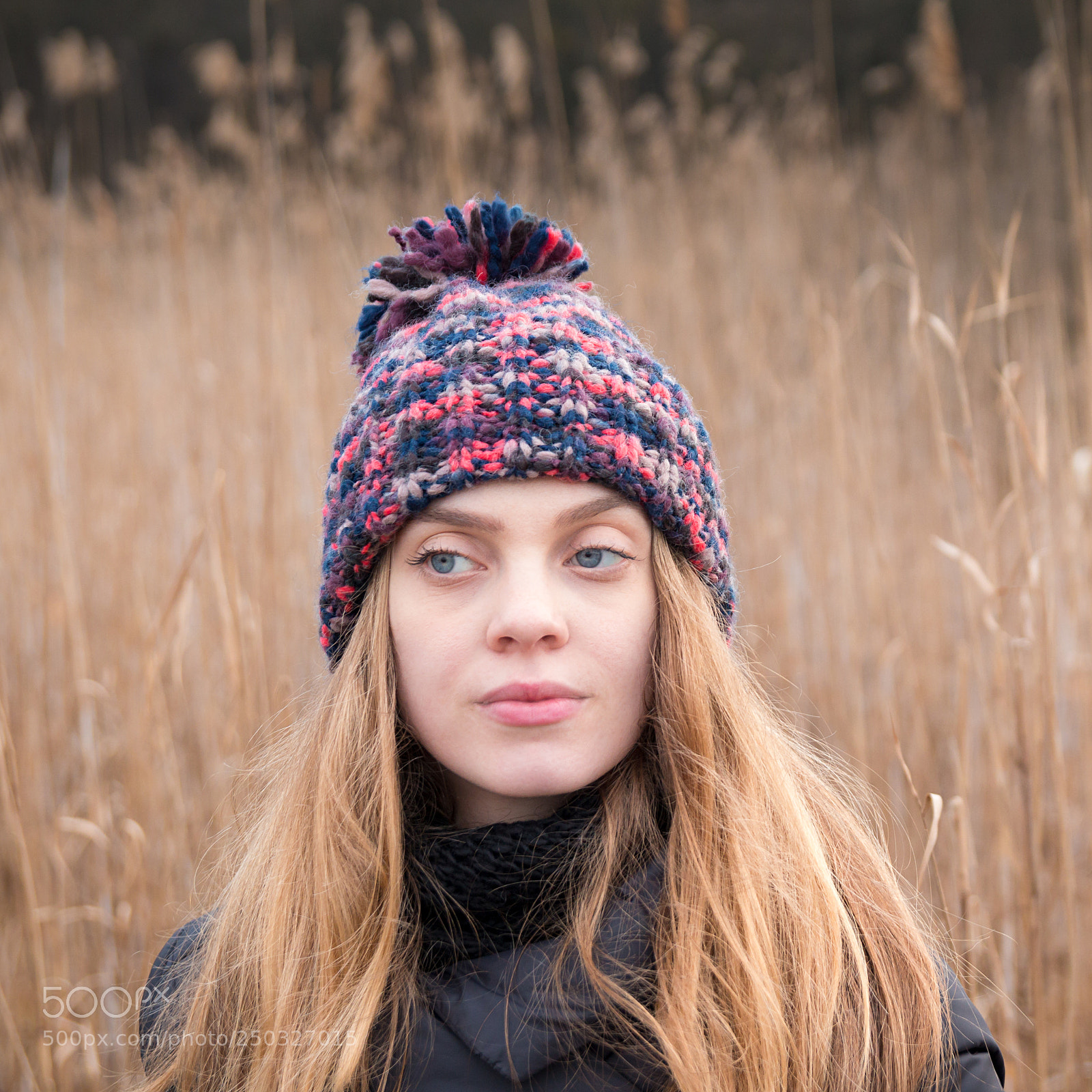 Canon EOS 70D sample photo. Yellow haze photography