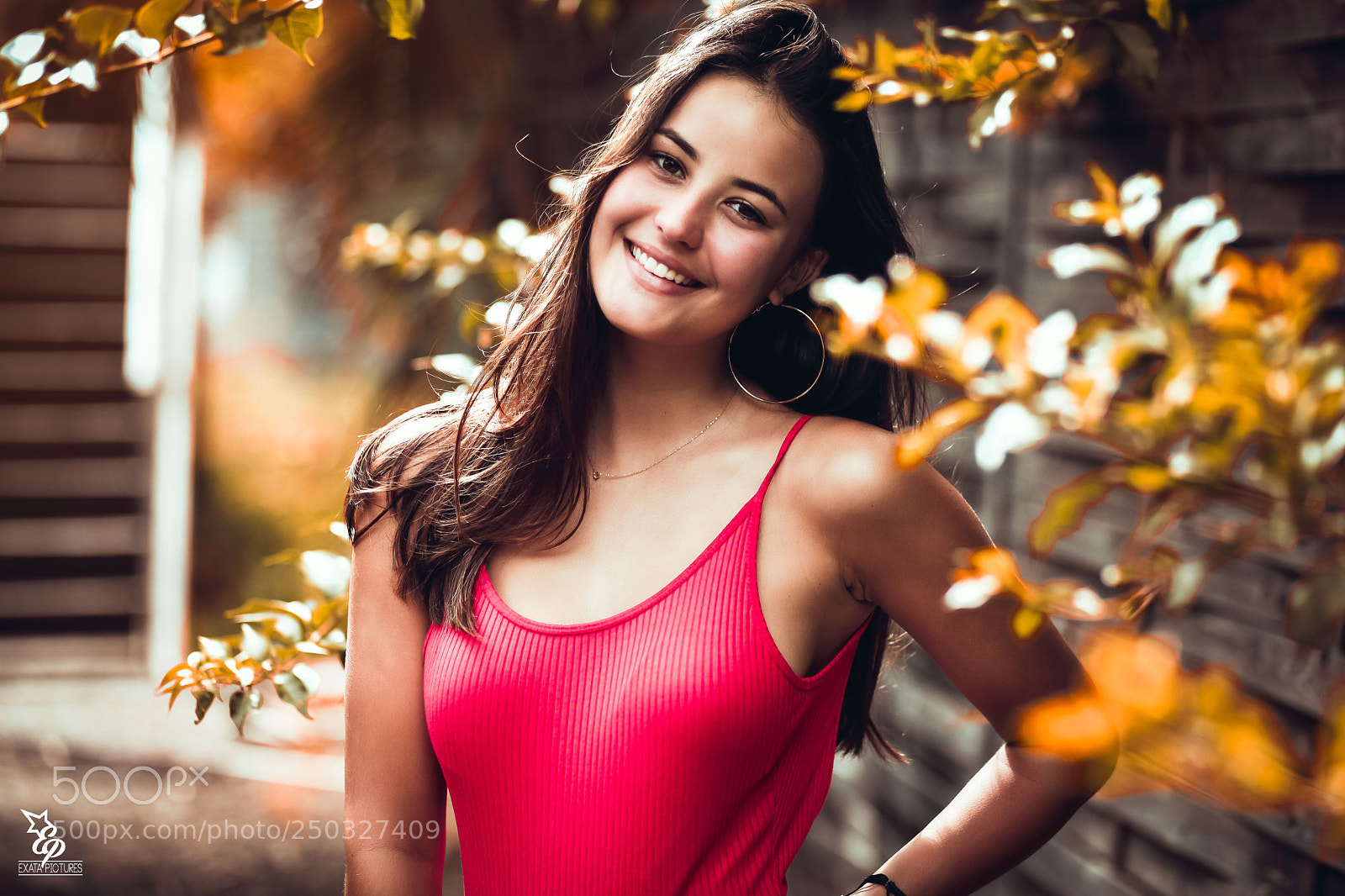 Canon EOS 5D Mark II sample photo. Swann photography