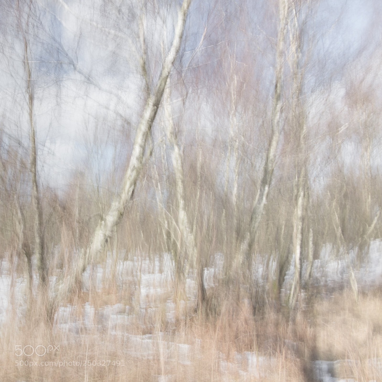 Fujifilm X-E2 sample photo. Perceptions of reality photography