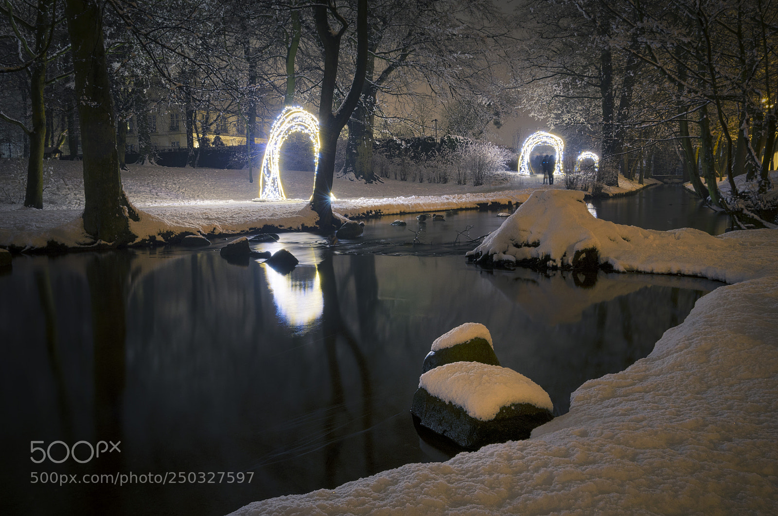 Nikon D5100 sample photo. Winter in oliwski park 2 photography