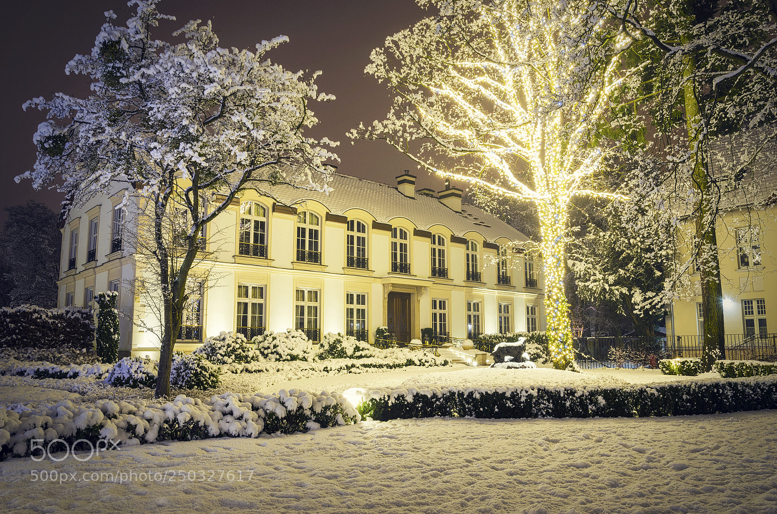 Nikon D5100 sample photo. Winter in oliwski park 3 photography