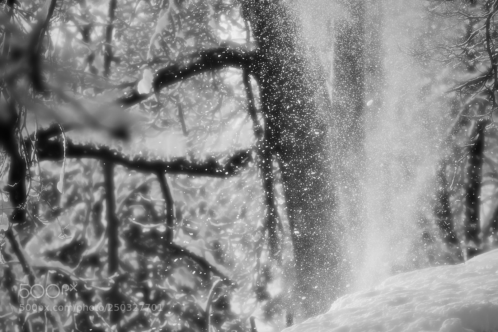 Nikon D7100 sample photo. Snow drops photography