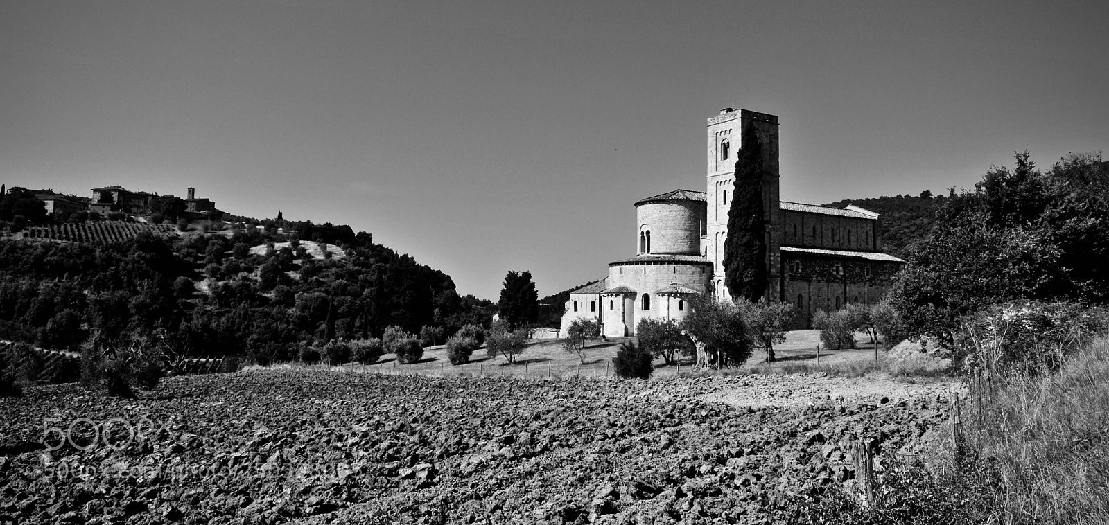 Nikon D300 sample photo. Field photography