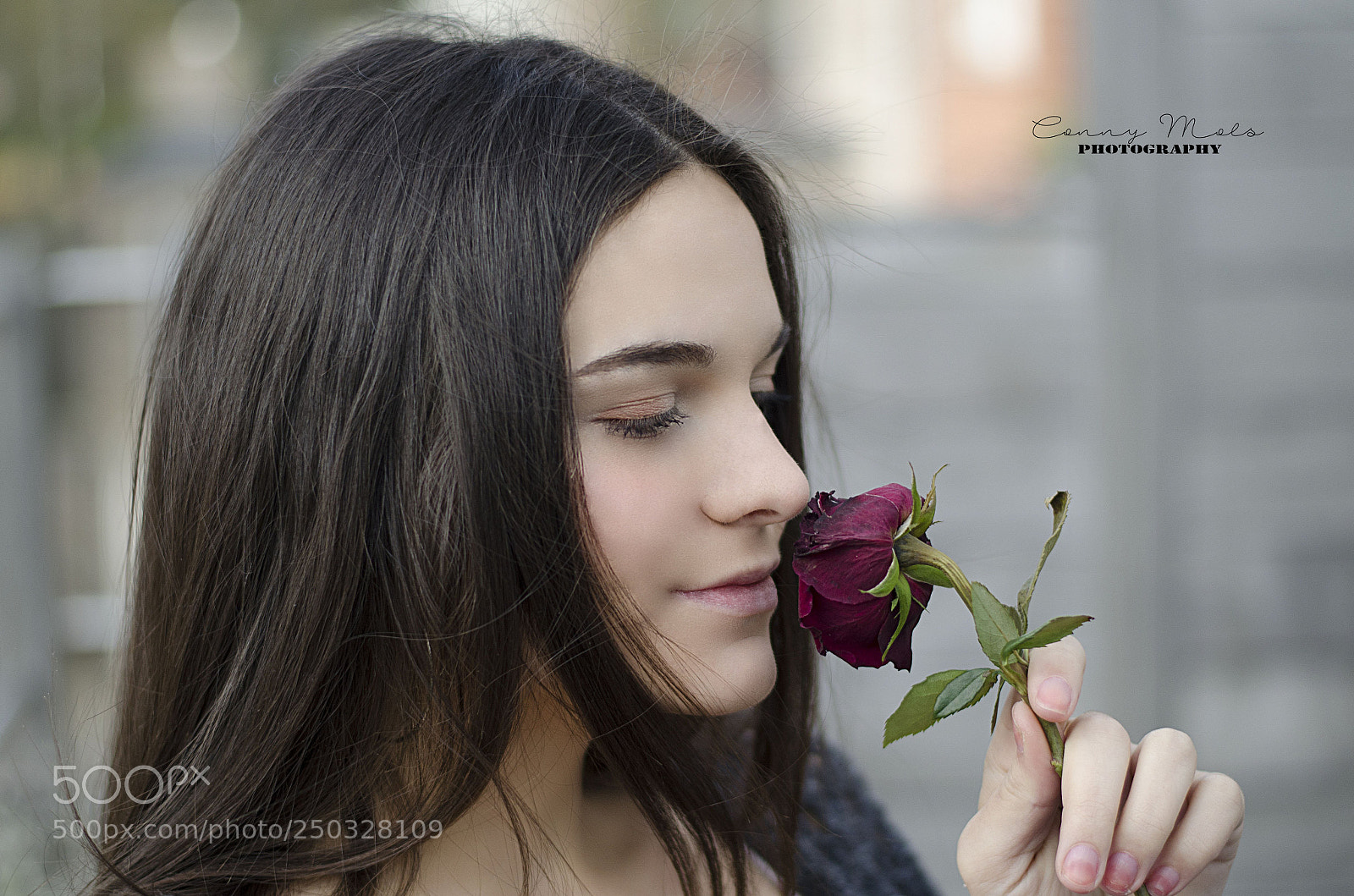 Nikon D5100 sample photo. A simple rose photography