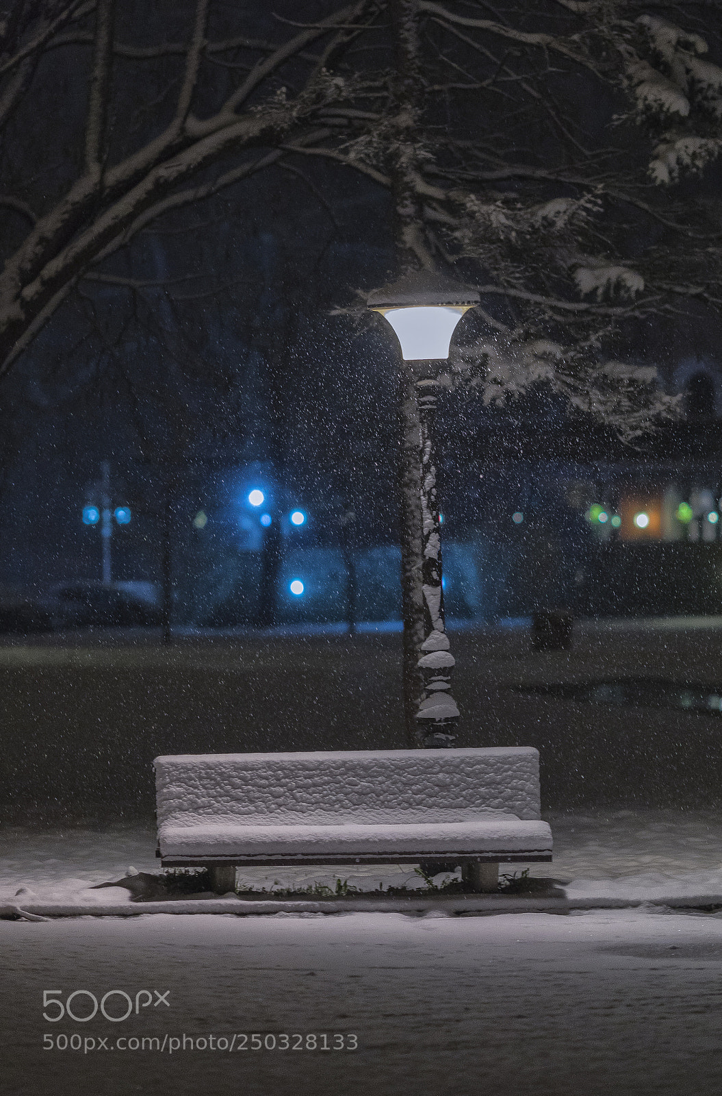Canon EOS 5D Mark IV sample photo. Springtime photography