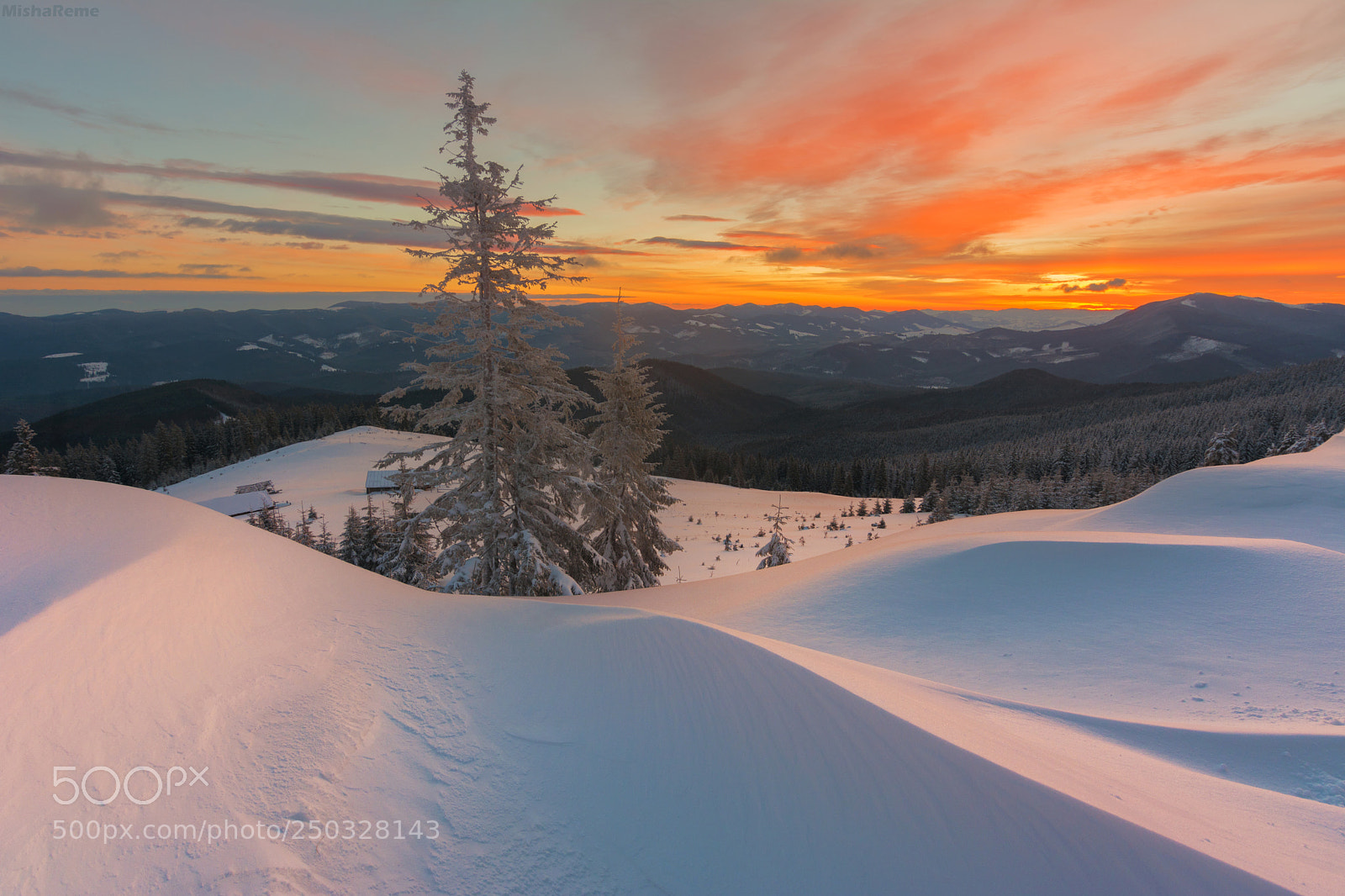 Nikon D7100 sample photo. Color winter photography