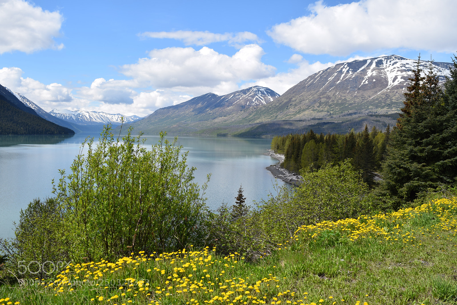 Nikon D5300 sample photo. Mountains of alaska with photography