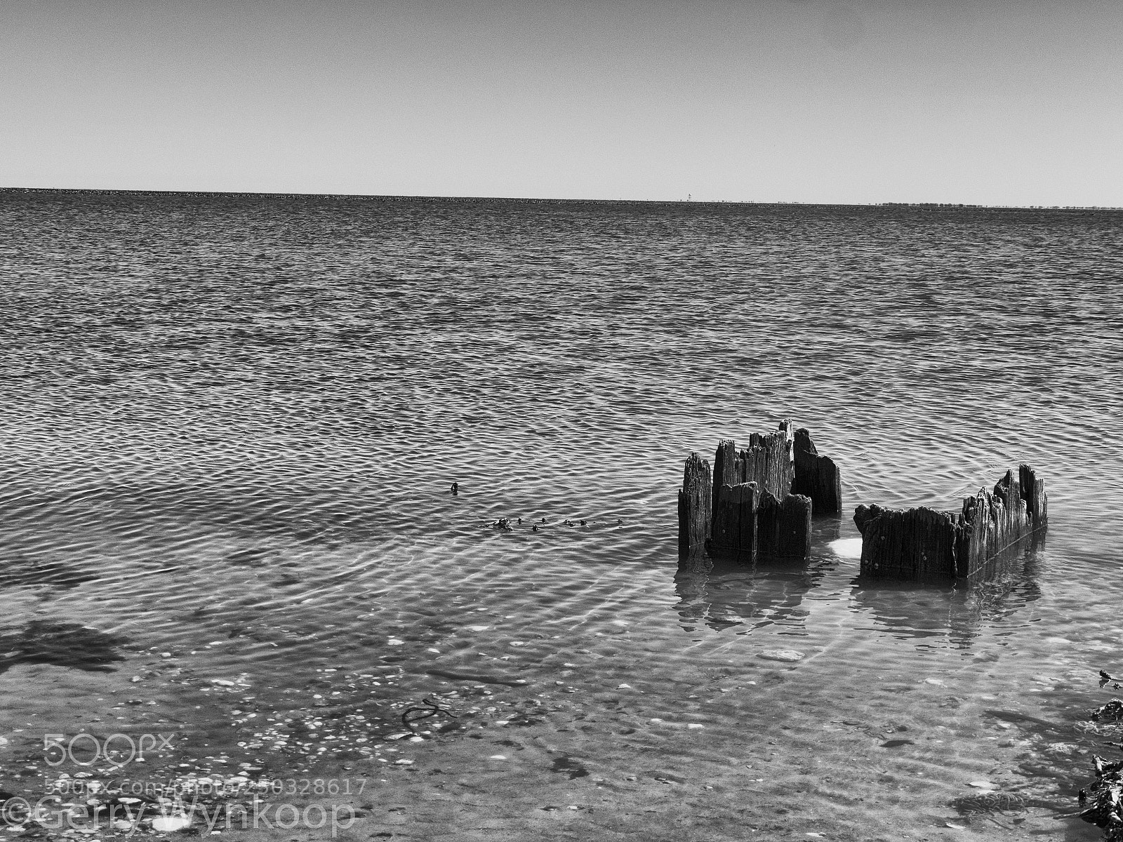 Panasonic Lumix DC-GH5 sample photo. _1000967-edit.jpg photography